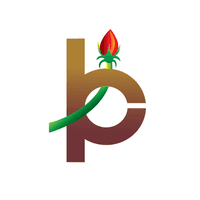 বাড কম্প্রিন্ট এন্ড পাবলিকেশন্স