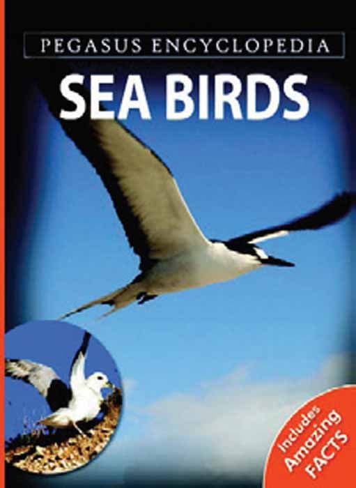 Pegasus Encyclopedia Sea Birds (হার্ডকভার) | Pegasus Encyclopedia Sea Birds (Hardcover)