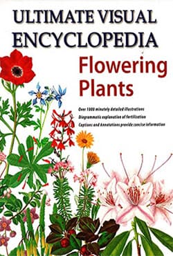 Ultimate Visual Encyclopedia Flowering Plants (Shree) (হার্ডকভার) | Ultimate Visual Encyclopedia Flowering Plants (Shree) (Hardcover)