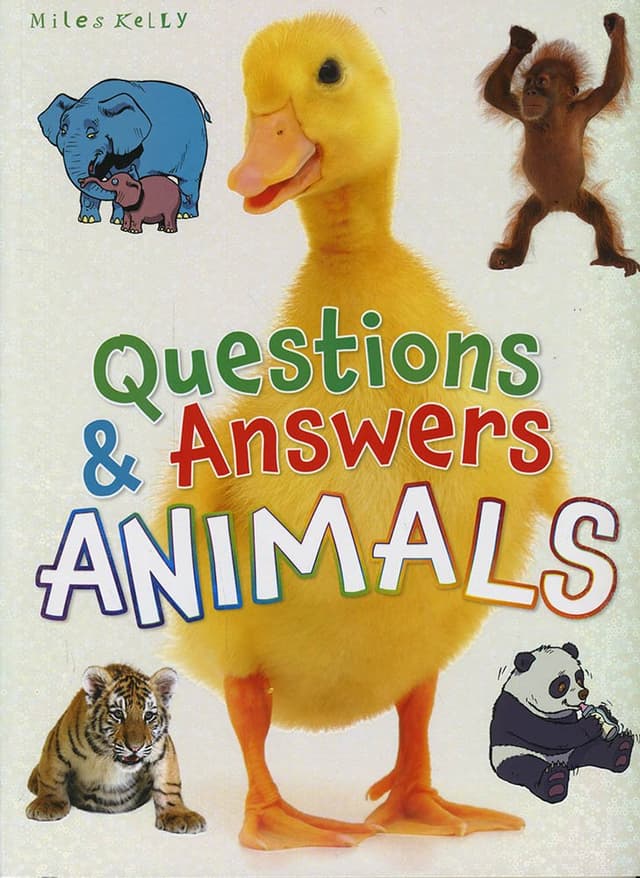 Questions & Answers Animals (পেপারব্যাক) | Questions & Answers Animals (Paperback)