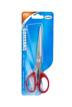 Deli Scissore 6009 | 