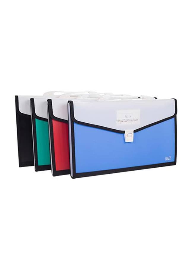 Bili 12 Pocket File C6021FH - 1PC | 