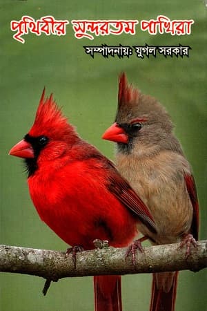 লিটল বুক পৃথিবীর সুন্দরতম পাখিরা (পেপারব্যাক) | Little Book Pritheber Sundar Tomo Pakhira (Paperback)