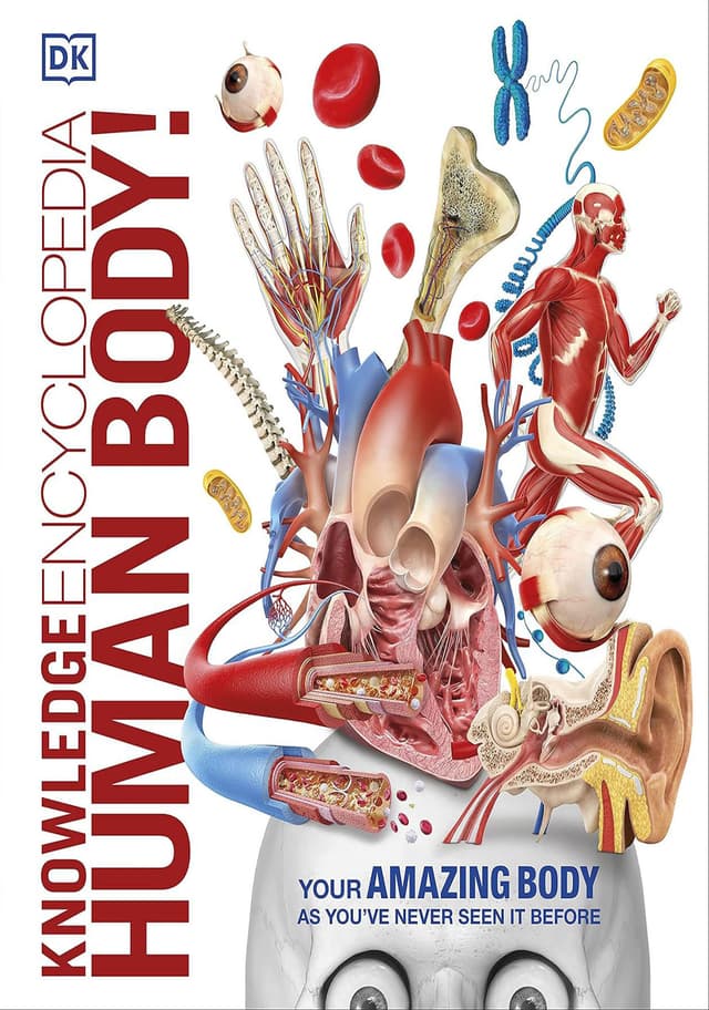 Knowledge Encyclopedia Human Body (হার্ডকভার) | Knowledge Encyclopedia Human Body (Hardcover)