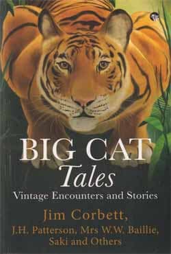 Big Cat Tales : Vintage Encounters and Stories (পেপারব্যাক) | Big Cat Tales : Vintage Encounters and Stories (Paperback)