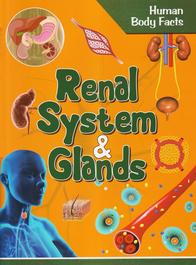 Human Body Facts: Renal System & Glands (পেপারব্যাক) | Human Body Facts: Renal System & Glands (Paperback)