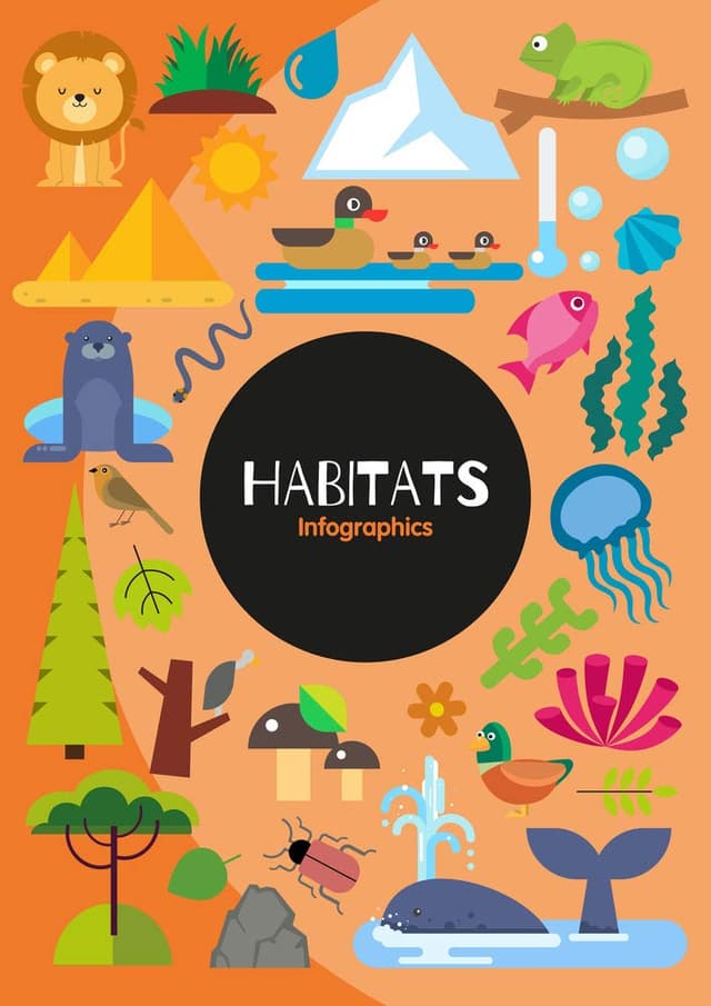 Habitats: Infographics (পেপারব্যাক) | Habitats: Infographics (Paperback)
