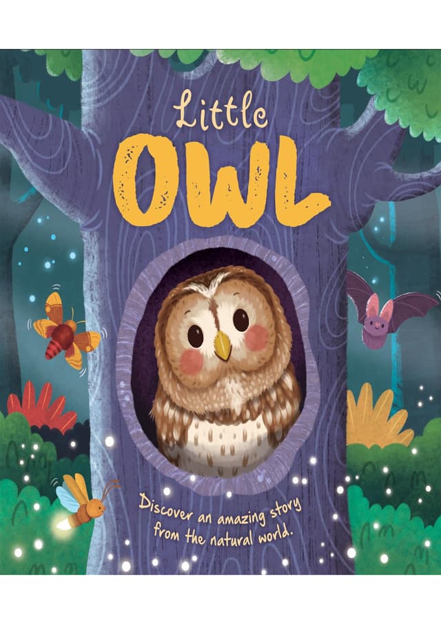 Little Owl (হার্ডকভার) | Little Owl (Hardcover)