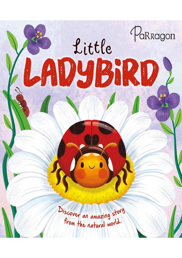 Little Ladybird (হার্ডকভার) | Little Ladybird (Hardcover)