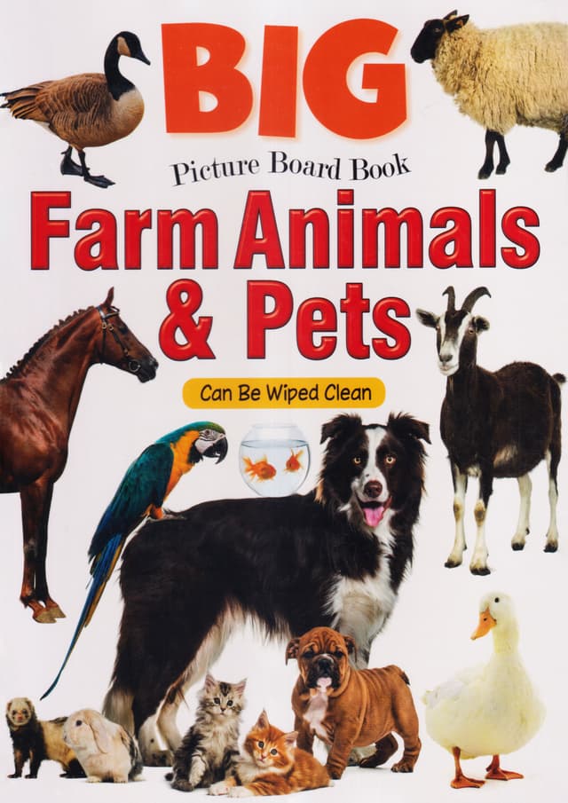 BIG PICTURE BOARD BOOK : Farm Animals & Pets (হার্ডকভার) | BIG PICTURE BOARD BOOK : Farm Animals & Pets (undefined)