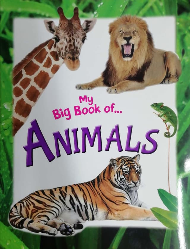 My Big Book Of Animals (পেপারব্যাক) | My Big Book Of Animals (Paperback)