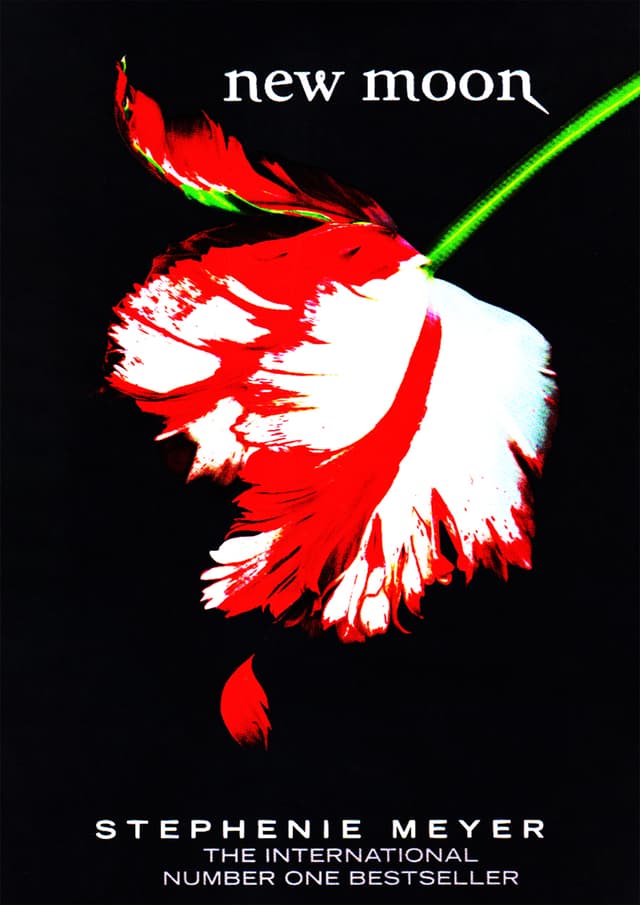 New Moon (পেপারব্যাক) | New Moon (Paperback)