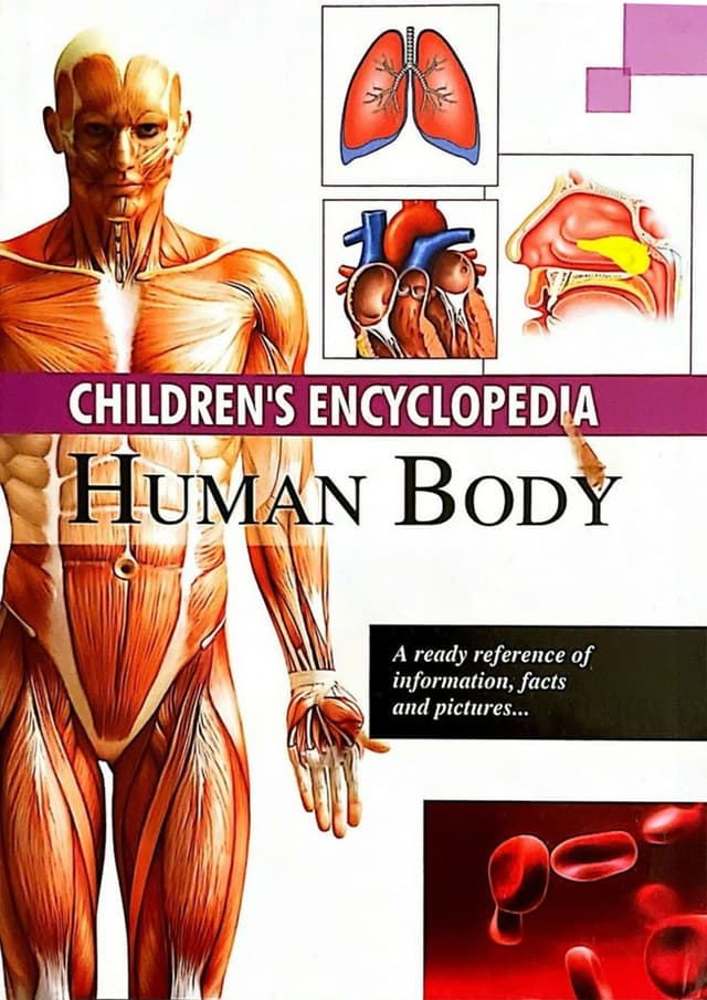 Childrens Encyclopedia Human Body (হার্ডকভার) | Childrens Encyclopedia Human Body (Hardcover)