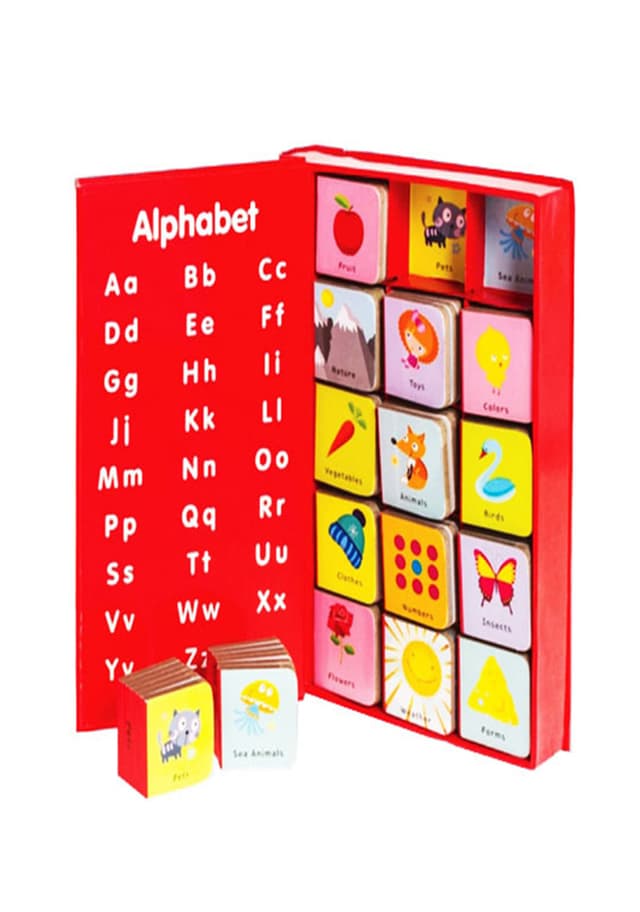 My First Words (15 mini board books in a box + Alphabet (হার্ডকভার) | My First Words (15 mini board books in a box - Alphabet (Hardcover)