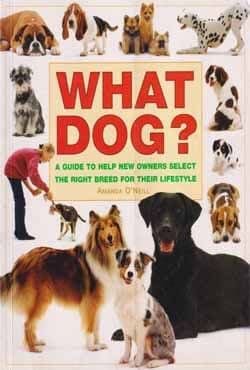 What Dog? (পেপারব্যাক) | What Dog? (Paperback)