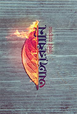 আঙ্গারধানি (হার্ডকভার) | Anghardhani (Hardcover)