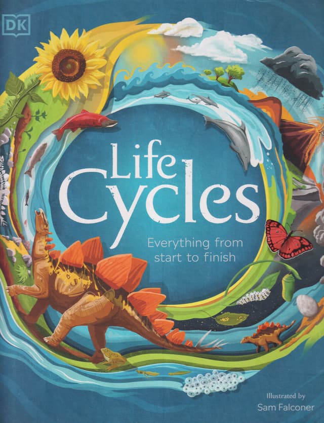 Life Cycles: Everything from Start to Finish (হার্ডকভার) | Life Cycles: Everything from Start to Finish (Hardcover)