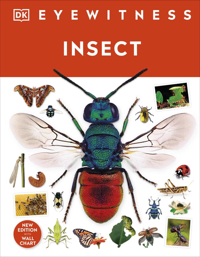 Insect (হার্ডকভার) | Insect (Hardcover)