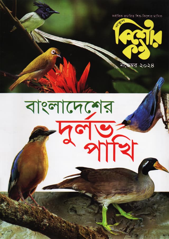 কিশোরকণ্ঠ - নভেম্বর ২০২৪ (পেপারব্যাক) | Kishorkantha - November 2024 (Paperback)