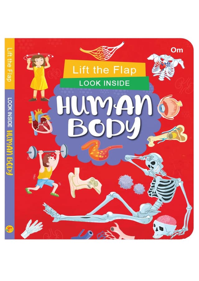 Lift the Flap : Inside Human Body (হার্ডকভার) | Lift the Flap : Inside Human Body (undefined)