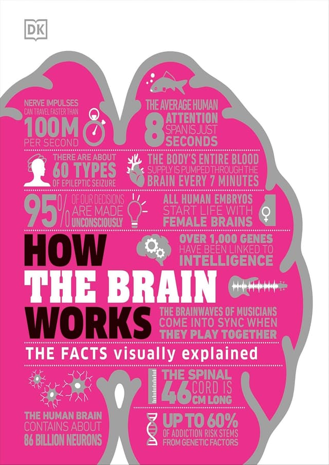 How The Brain Works (হার্ডকভার) | How The Brain Works (undefined)